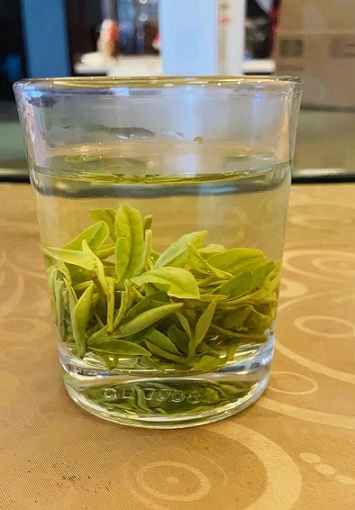 龙井问茶4.jpg