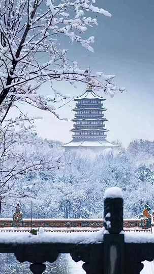 西湖雪景2.jpg