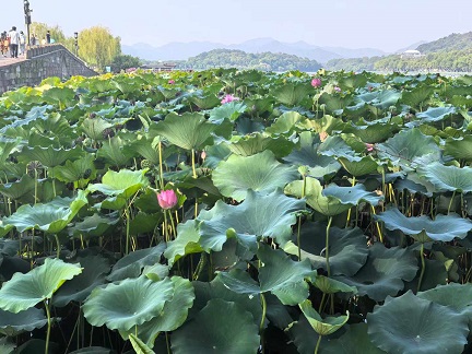 杭州宝石山4.jpg